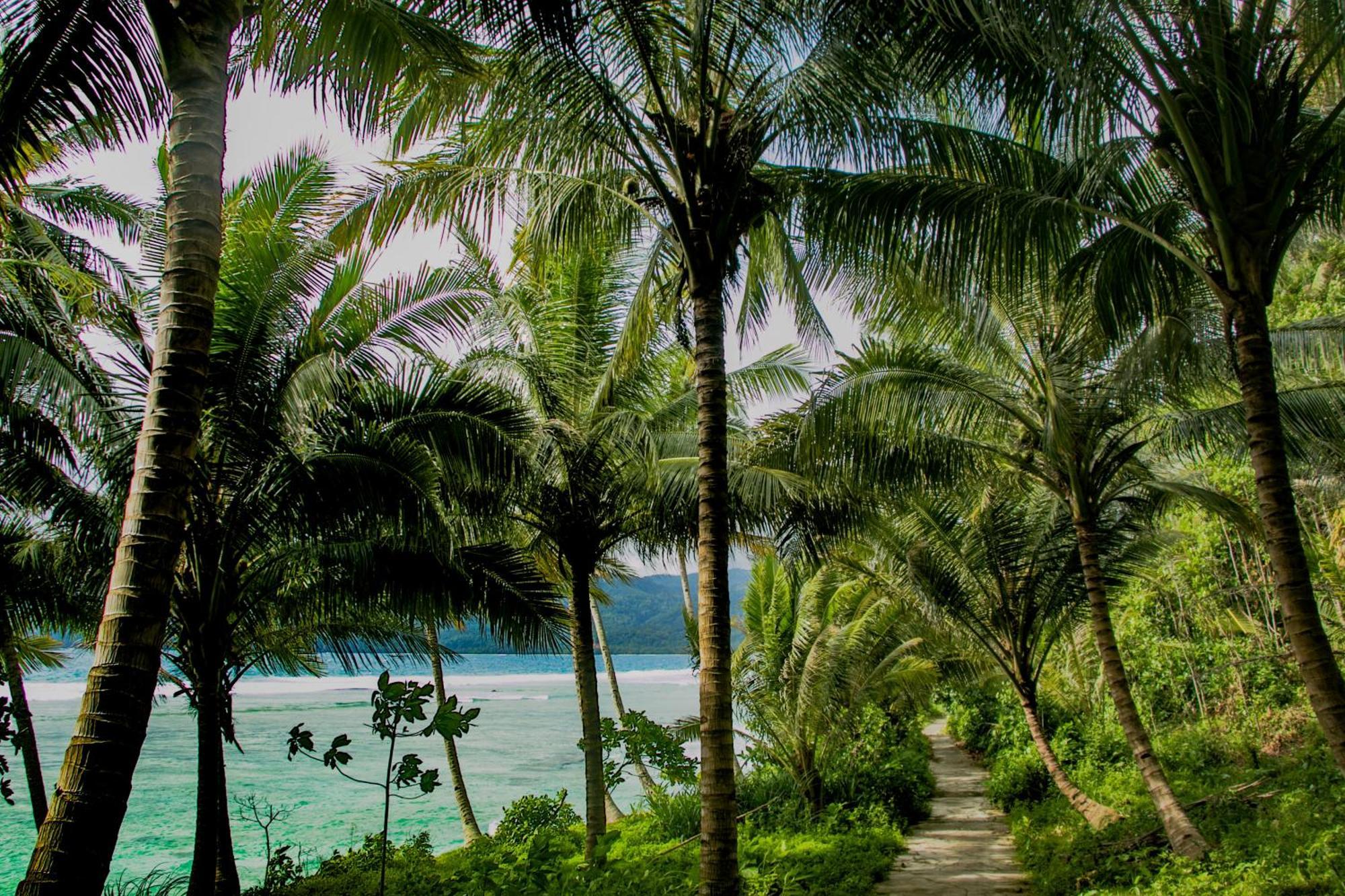 Sumatra Surf Resort Biha Exteriör bild