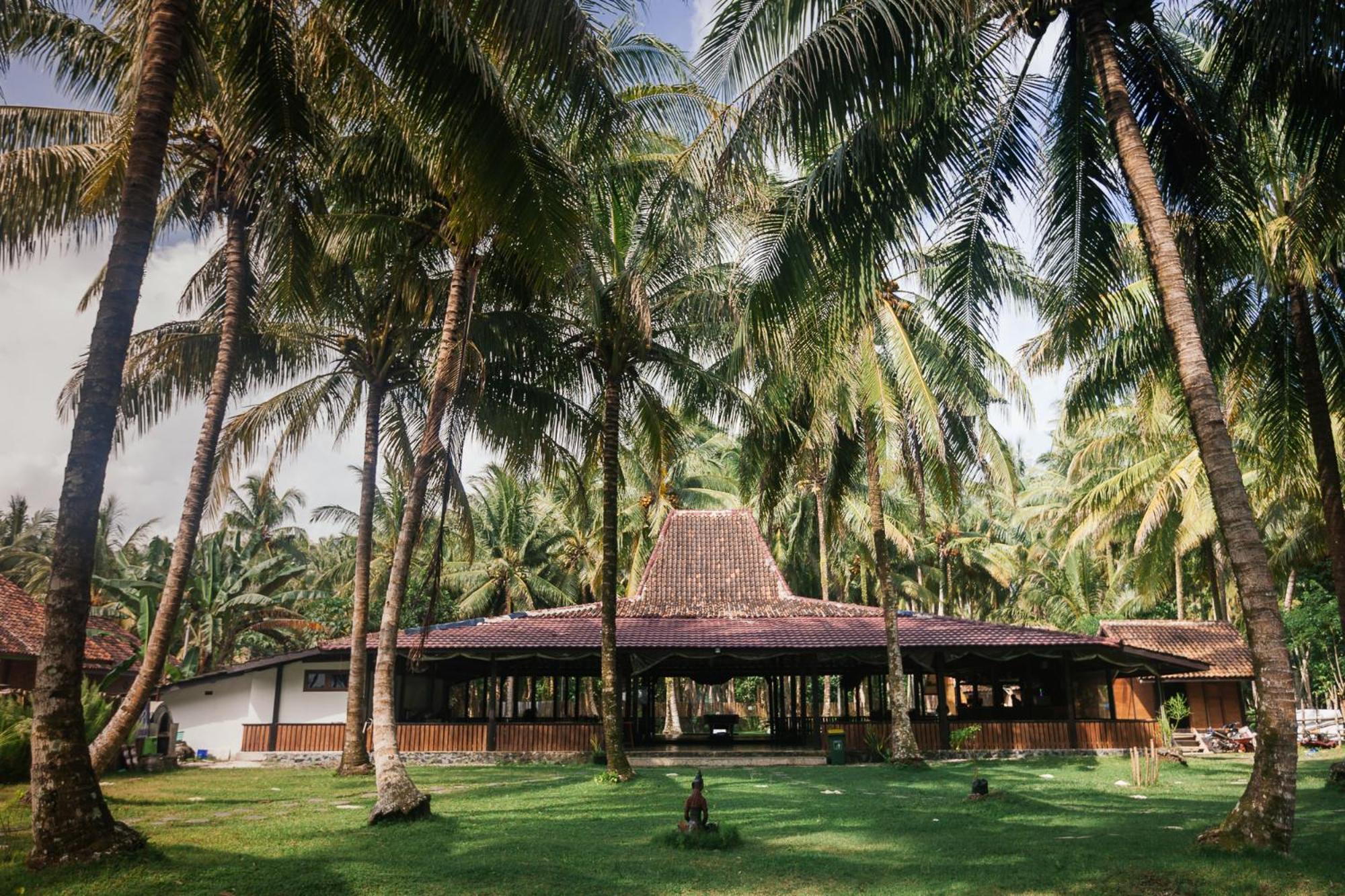 Sumatra Surf Resort Biha Exteriör bild