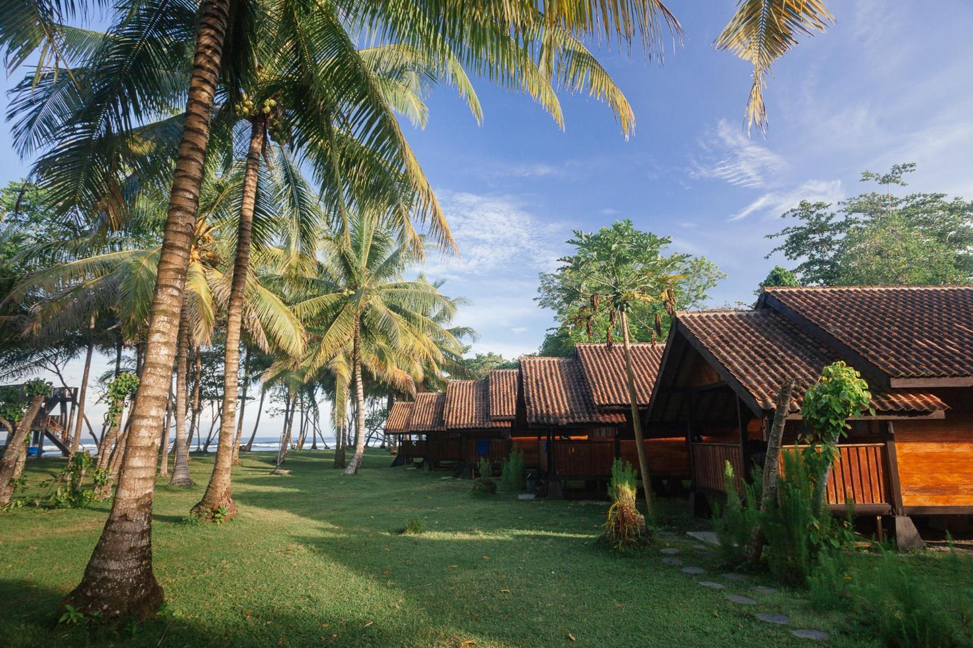Sumatra Surf Resort Biha Exteriör bild