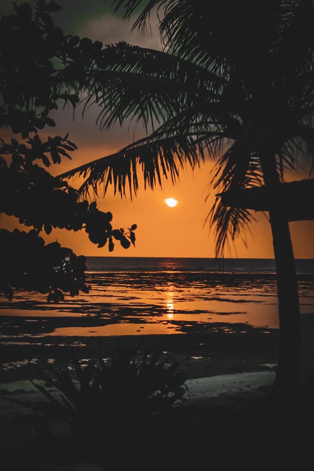 Sumatra Surf Resort Biha Exteriör bild